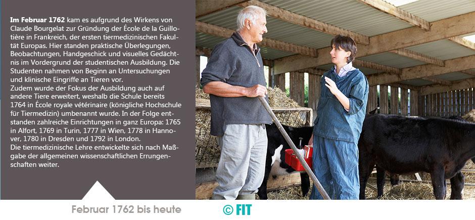 beruftierarzt-geschichte-3