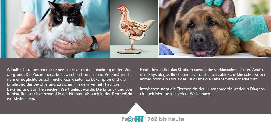 beruftierarzt-geschichte-4