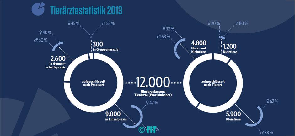 beruftierarzt-statistik-2