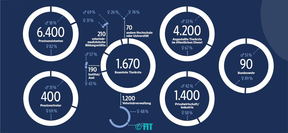beruftierarzt-statistik-4